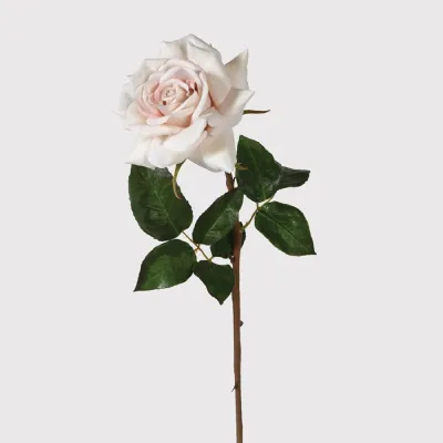 Latte Real Feel Rose with Leaves