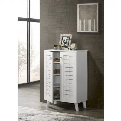 2 Door Shoe Cabinet