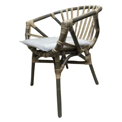Modern Style Grey Rattan Frame Dining Chair with Padded Cushion