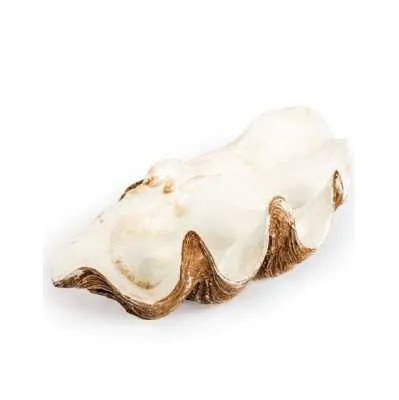 Large Clam Shell Decorative Bowl