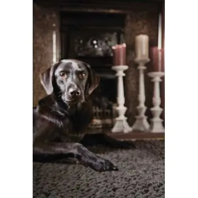 Rug Guru Union Fossil 80x150
