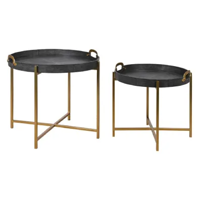 Set of 2 Hicks Tray Tables
