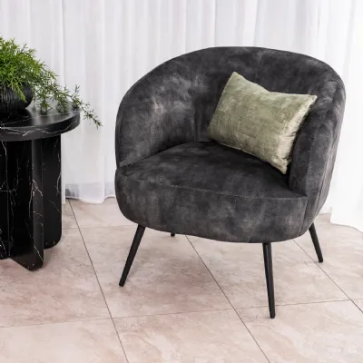 Modern Charcoal Velvet Occasional Chair with Curved Backrest