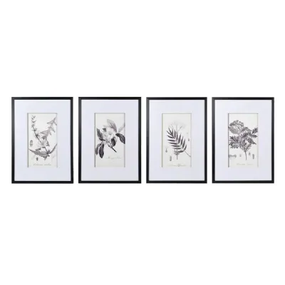 Set Of 4 Monochrome Botanical Pictures