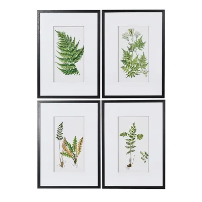 Set Of 4 Fern Floral Pictures