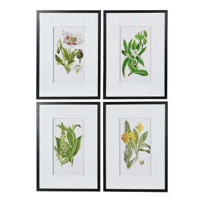 Set Of 4 Garden Floral Pictures