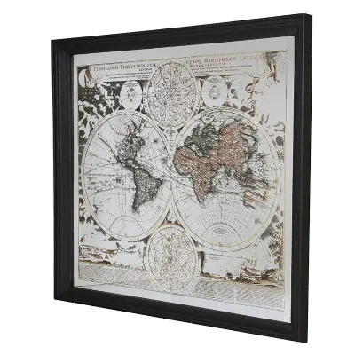 Mirrored World Map