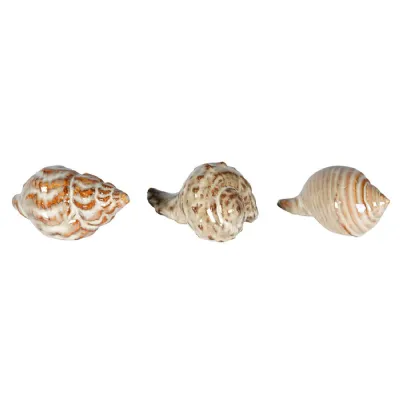 Set of 3 Seashells