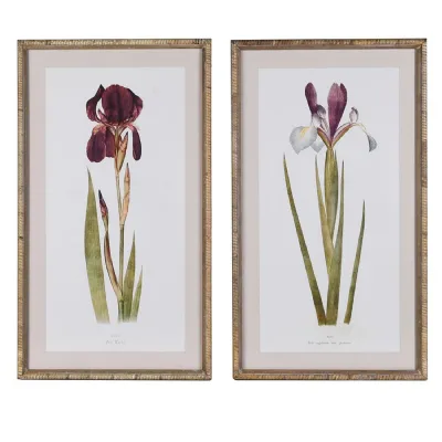 Set of 2 Iris Wall Art