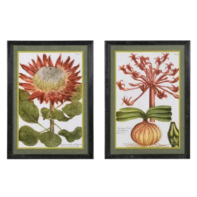 Set of 2 Retunde Liliaceo Framed Pictures