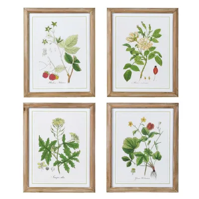 Set of 4 Botanical Wall Art