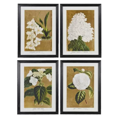 Set of 4 White Florals Wall Art