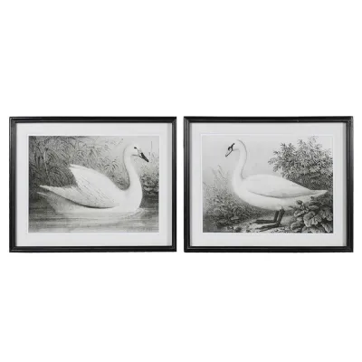 Set of 2 Swans Wall Art