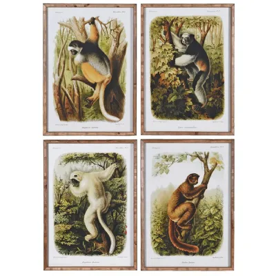 Set of 4 Madagascan Lemurs Wall Art