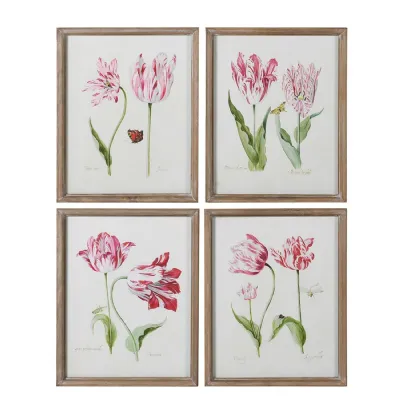 Set of 4 Framed Fuschia Tupina Pictures
