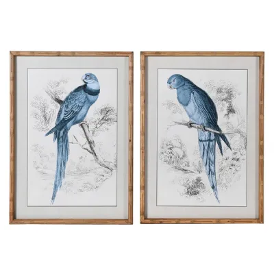 Set of 2 Framed Blue Parrot Pictures