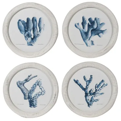 S 4 Round Coral Pictures