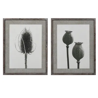 S 2 Poppy Teasel Prints