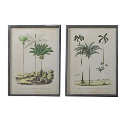 Set Of 2 Palm Tree Pictures