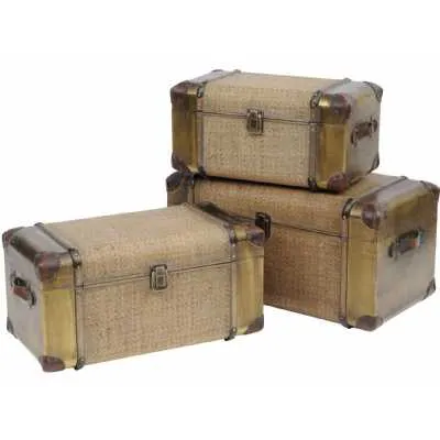 Trunks And Chests