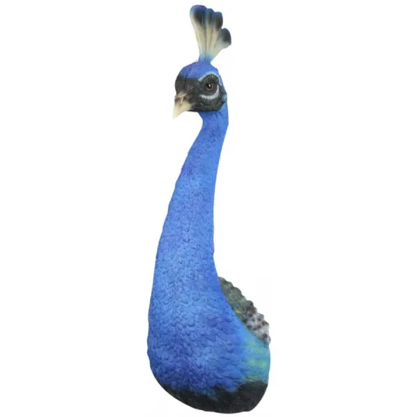 Male Peacock Head Wall Art 68cm