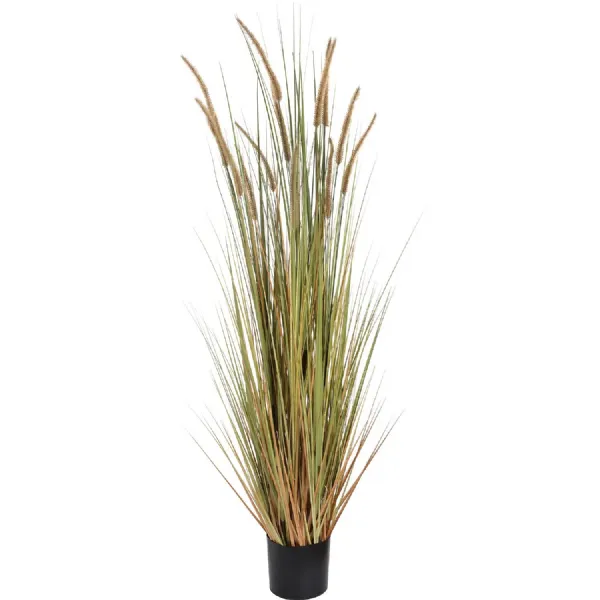 Field Grass jn a Black Pot