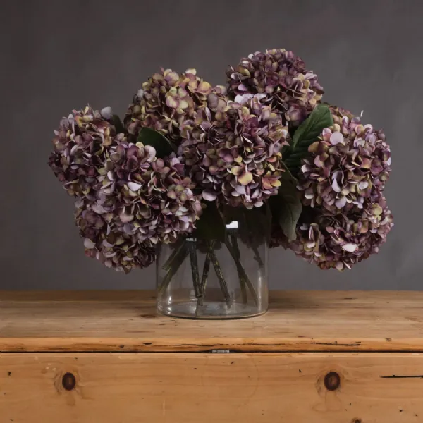 Autumn Burgundy Hydrangea