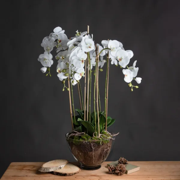 Large White Orchid In Glass Pot