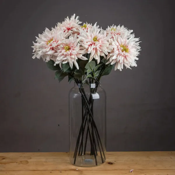 Lush Pink Dahlia