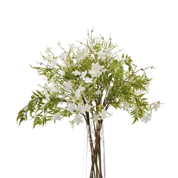 Italian White Bellflower