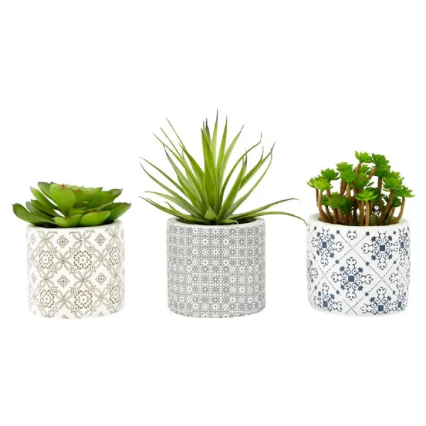 Set Of 3 Succulents In Henna Ceramic Pots