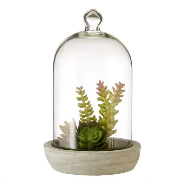 Large Succulent Dome With Pale Grey Cement Base