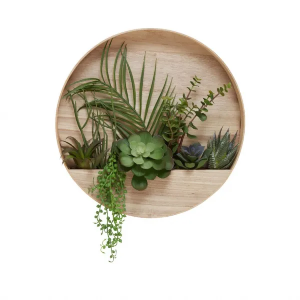 Round Wooden Wall Planter with Succulents