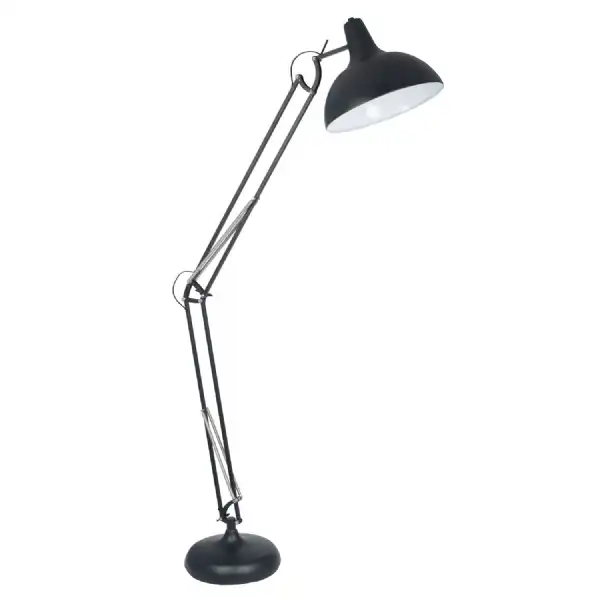 Matt Black Metal Industrial Adjustable Floor Lamp