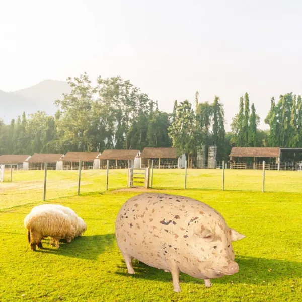 Hand Painted Gloucester Old Spot Outdoor Jumbo Pig 116cm