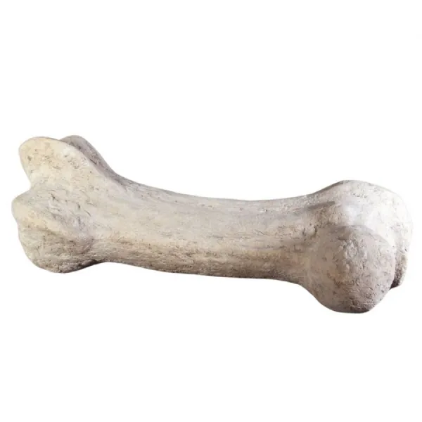 Dinosaur Bone 110cm