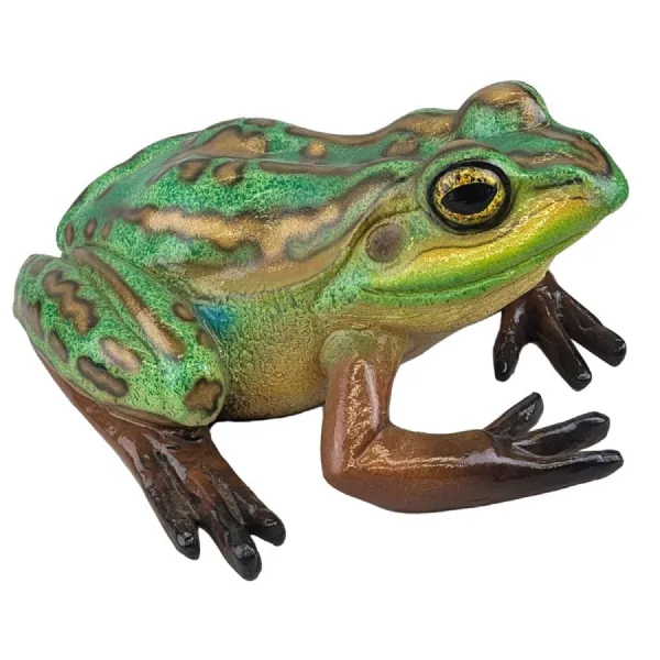Green and Golden Bell Frog 35cm