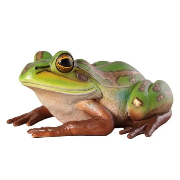 Giant Green and Golden Bell Frog 84cm