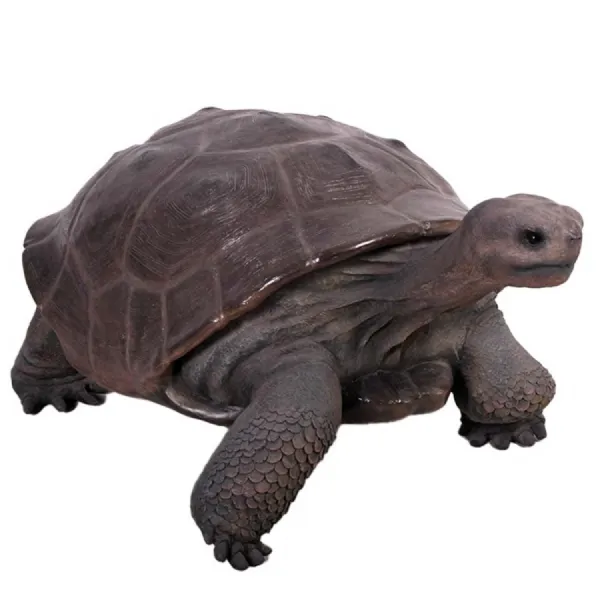 Galapagos Tortoise 154cm