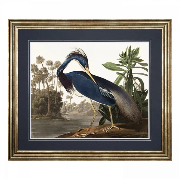 Louisiana Heron Gold Framed Wall Art