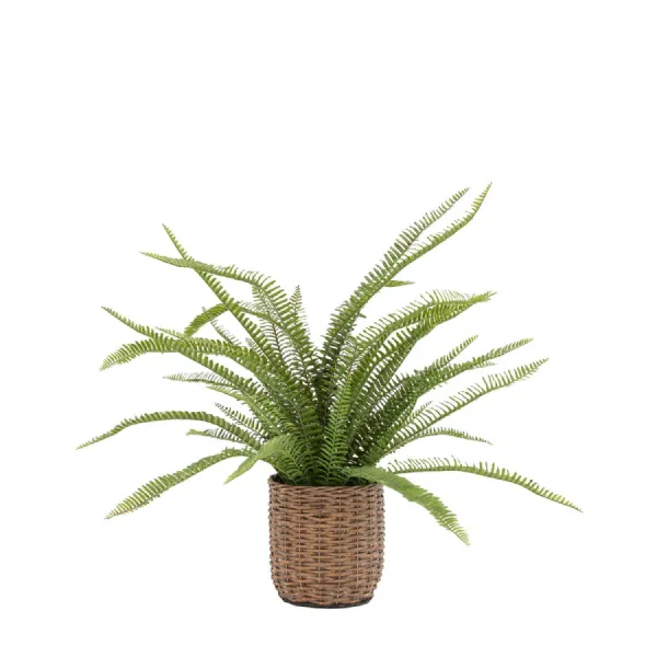 Potted Fern Plant 980mm