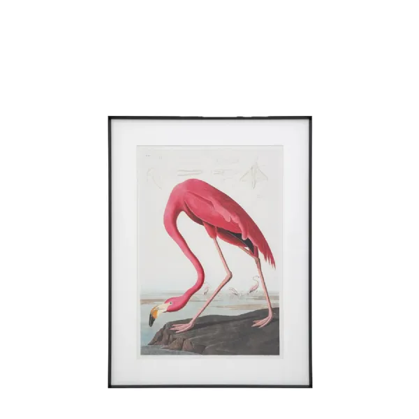 Flamingo Framed Art