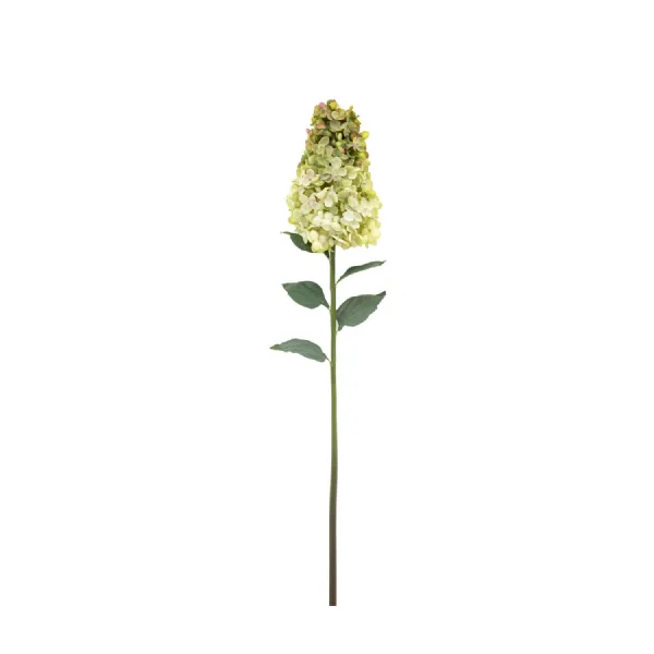 Cone Hydrandea Stem White 12pk