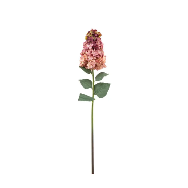 Cone Hydrandea Stem Pink 12pk