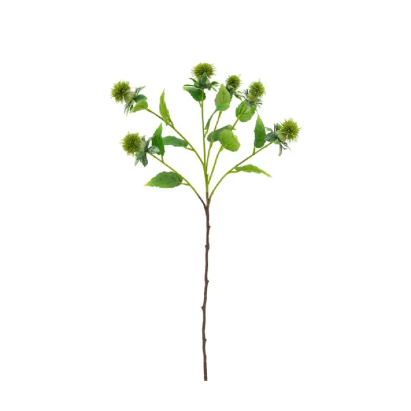 Stem Thistle Green 12pk