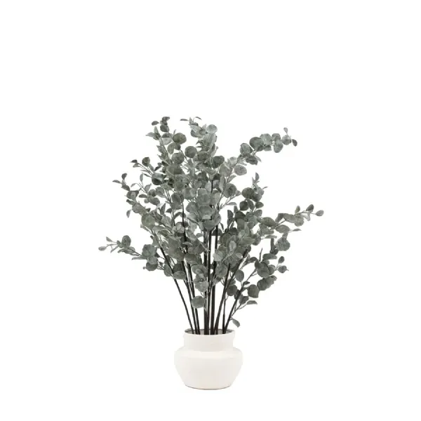 Eucalyptus in Ceramic Pot Ivory