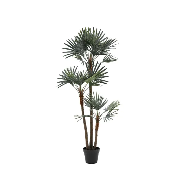 Green Statement Palm Large
