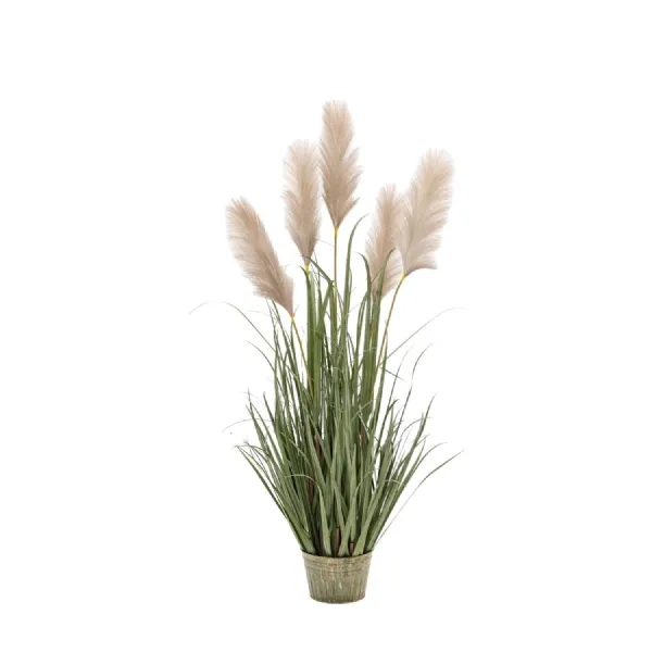 Green Grass with Pampas Seed Heads 5pk Medium