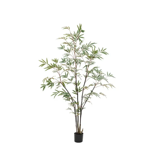Green Bamboo Tree Large