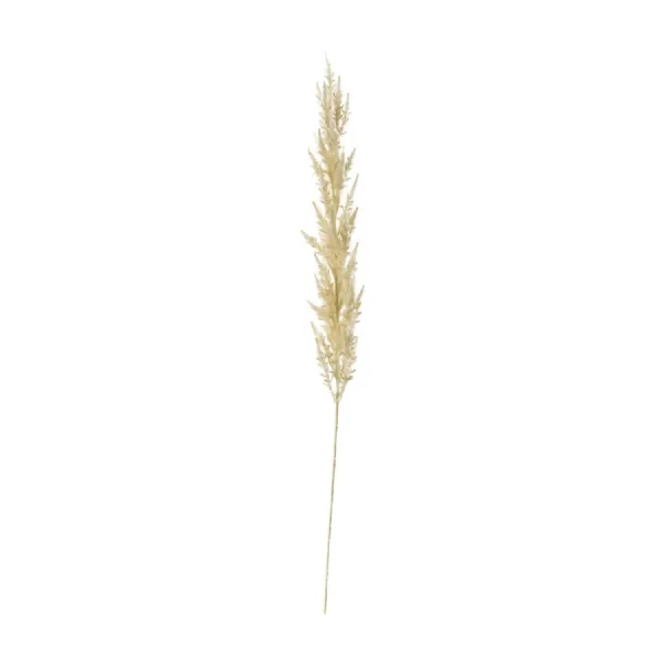 Pampas Grass (3pk) Ivory 1160mm